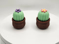 Cactus w/ brown pot