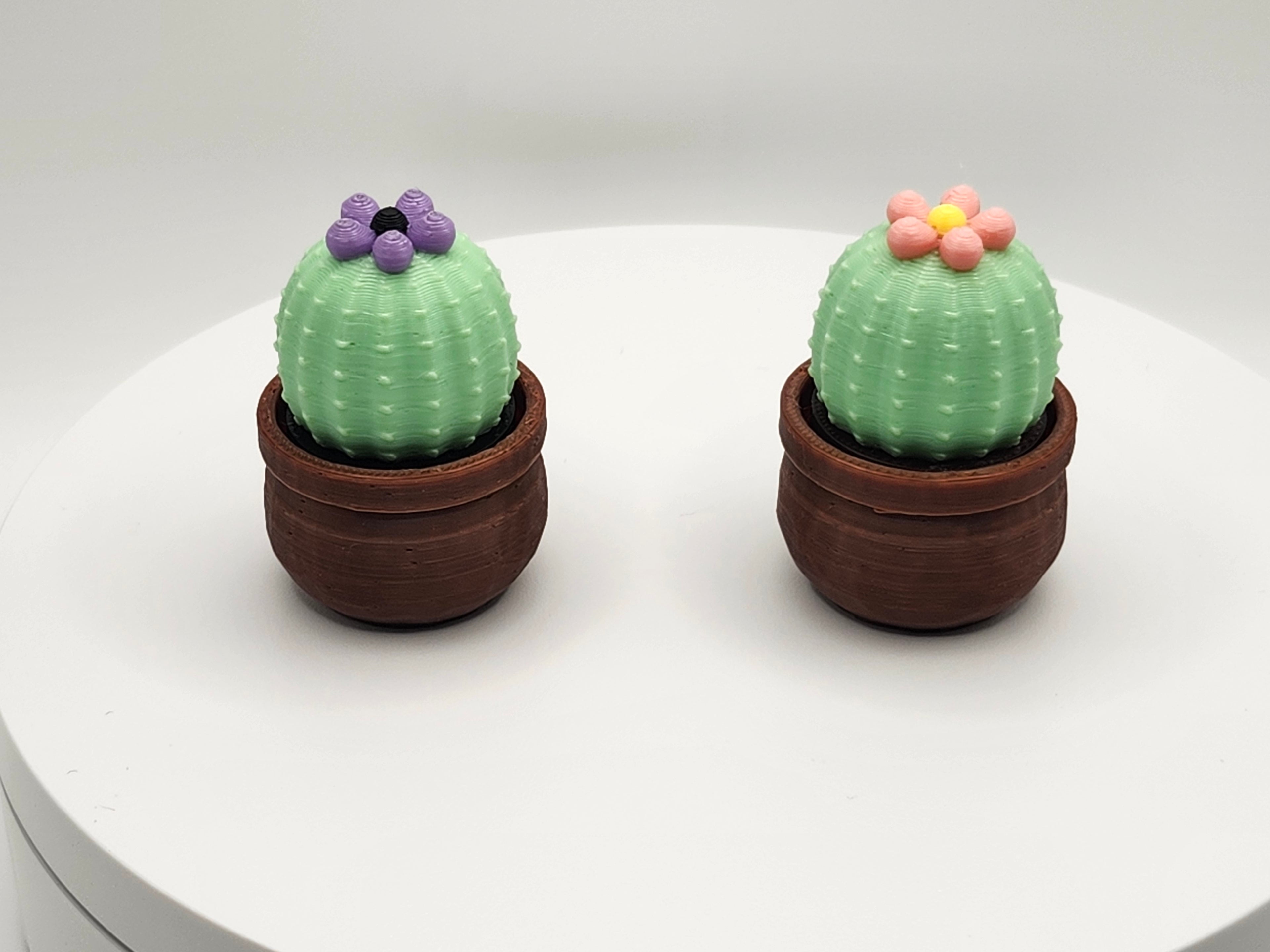 Cactus w/ brown pot